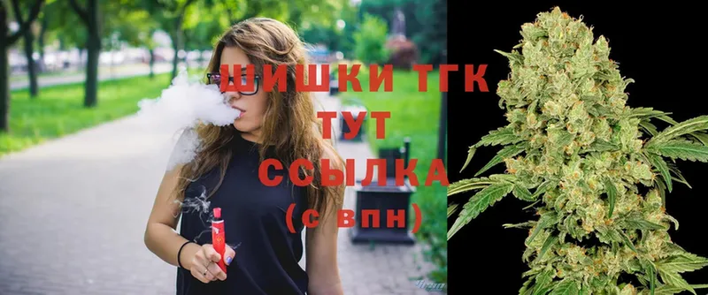 Конопля SATIVA & INDICA  магазин продажи   Калининец 